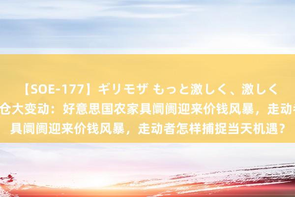 【SOE-177】ギリモザ もっと激しく、激しく突いて Ami CBOT握仓大变动：好意思国农家具阛阓迎来价钱风暴，走动者怎样捕捉当天机遇？