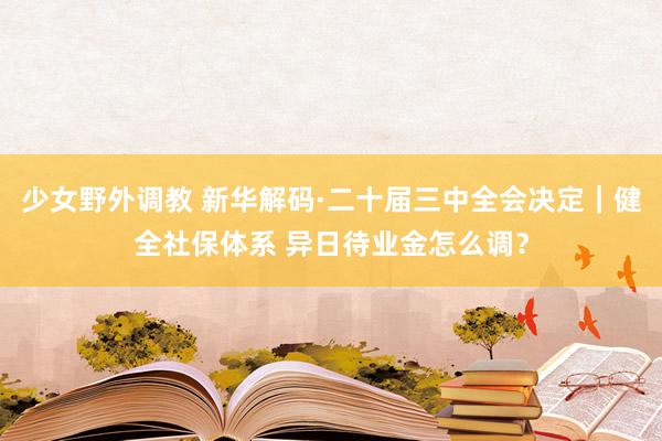 少女野外调教 新华解码·二十届三中全会决定｜健全社保体系 异日待业金怎么调？