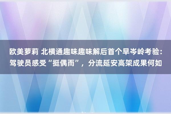 欧美萝莉 北横通趣味趣味解后首个早岑岭考验：驾驶员感受“挺偶而”，分流延安高架成果何如