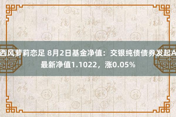 西风萝莉恋足 8月2日基金净值：交银纯债债券发起A最新净值1.1022，涨0.05%