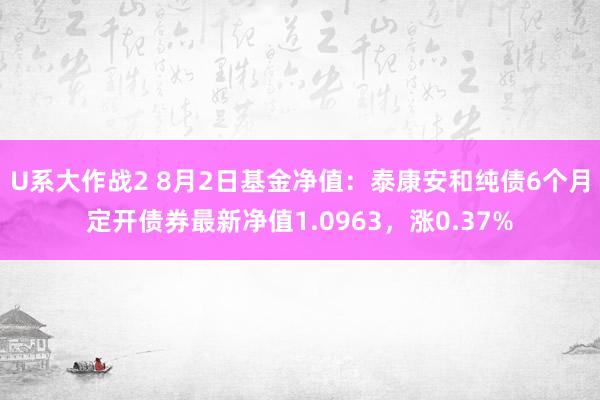 U系大作战2 8月2日基金净值：泰康安和纯债6个月定开债券最新净值1.0963，涨0.37%