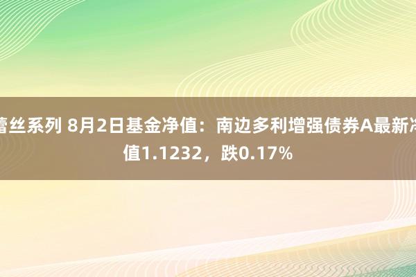 蕾丝系列 8月2日基金净值：南边多利增强债券A最新净值1.1232，跌0.17%