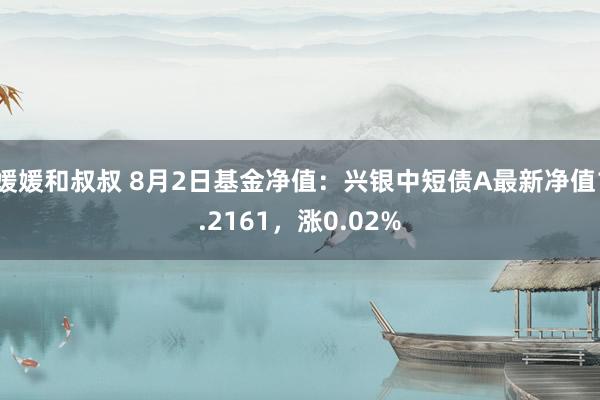 媛媛和叔叔 8月2日基金净值：兴银中短债A最新净值1.2161，涨0.02%