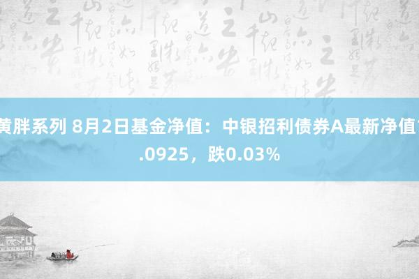 黄胖系列 8月2日基金净值：中银招利债券A最新净值1.0925，跌0.03%