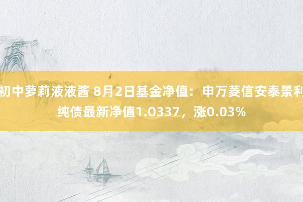 初中萝莉液液酱 8月2日基金净值：申万菱信安泰景利纯债最新净值1.0337，涨0.03%