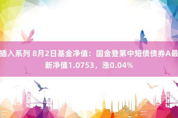 插入系列 8月2日基金净值：国金登第中短债债券A最新净值1.0753，涨0.04%