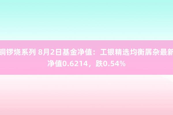 铜锣烧系列 8月2日基金净值：工银精选均衡羼杂最新净值0.6214，跌0.54%