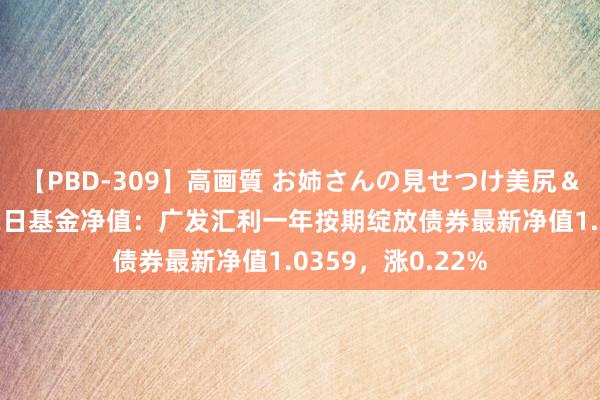 【PBD-309】高画質 お姉さんの見せつけ美尻＆美脚の誘惑 8月2日基金净值：广发汇利一年按期绽放债券最新净值1.0359，涨0.22%