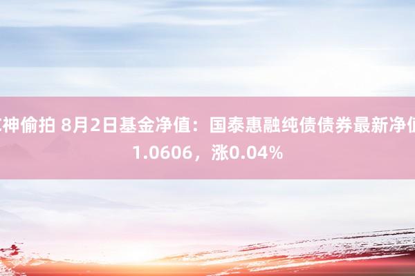 C神偷拍 8月2日基金净值：国泰惠融纯债债券最新净值1.0606，涨0.04%