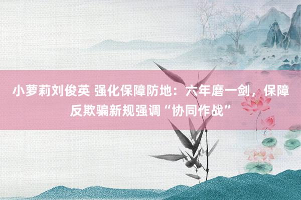 小萝莉刘俊英 强化保障防地：六年磨一剑，保障反欺骗新规强调“协同作战”