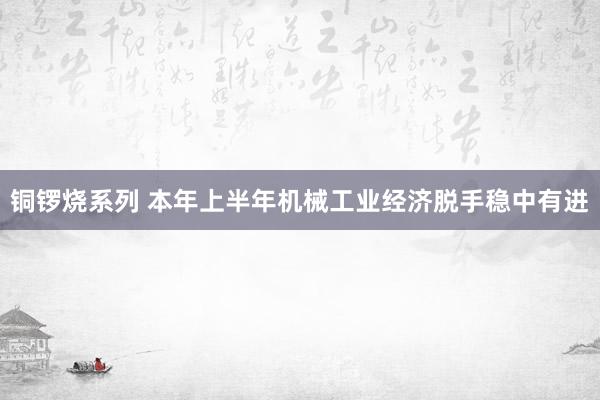 铜锣烧系列 本年上半年机械工业经济脱手稳中有进