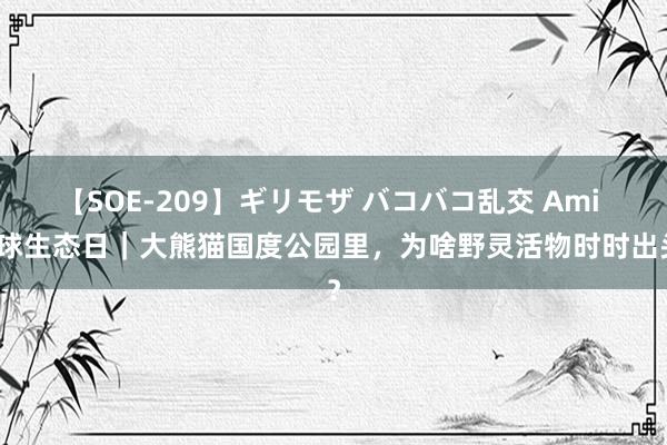 【SOE-209】ギリモザ バコバコ乱交 Ami 寰球生态日｜大熊猫国度公园里，为啥野灵活物时时出头？