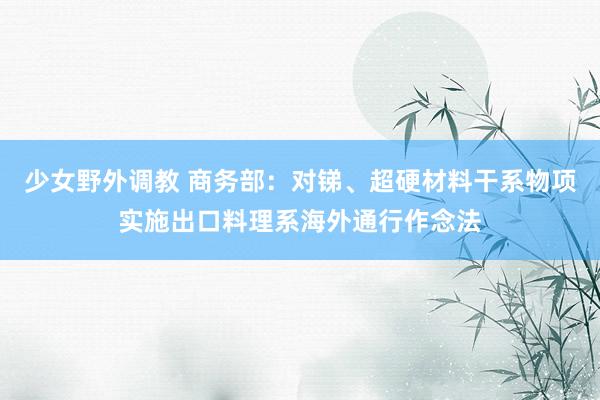 少女野外调教 商务部：对锑、超硬材料干系物项实施出口料理系海外通行作念法