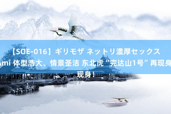 【SOE-016】ギリモザ ネットリ濃厚セックス Ami 体型浩大、情景圣洁 东北虎“完达山1号”再现身！