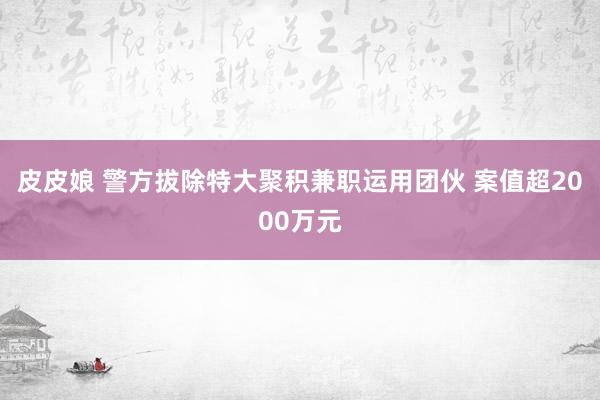 皮皮娘 警方拔除特大聚积兼职运用团伙 案值超2000万元