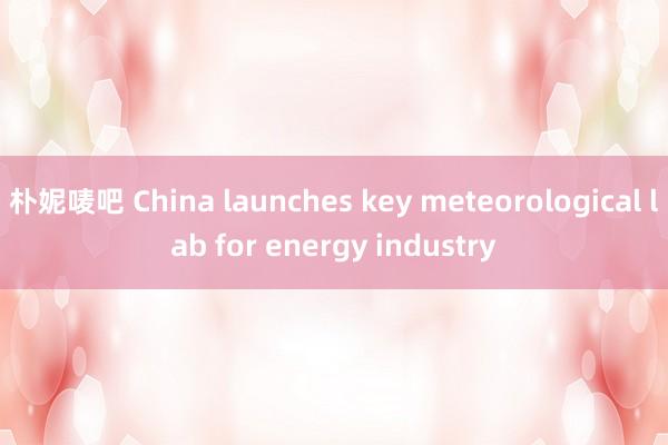 朴妮唛吧 China launches key meteorological lab for energy industry